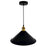 CWI Lighting Brave 1 Light 12" Mini Pendant, Black