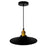 CWI Lighting Brave 1 Light 13" Down Mini Pendant, Black