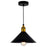 CWI Lighting Brave 1 Light 8" Down Mini Pendant, Black - 9605P8-1-101-B