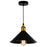 CWI Lighting Brave 1 Light 8" Down Mini Pendant, Black