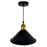 CWI Lighting Brave 1 Light 8" Down Mini Pendant, Black