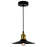 CWI Lighting Brave 1 Light Mini Pendant, BK - 9605P9-1-101