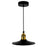 CWI Lighting Brave 1 Light Mini Pendant, BK