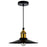 CWI Lighting Brave 1 Light Mini Pendant, BK