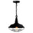 CWI Lighting Morgan 1 Light 14" Down Mini Pendant, Black - 9611P14-1-101