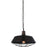 CWI Lighting Morgan 1 Light Down Mini Pendant, Chocolate - 9611P14-1-126