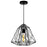 CWI Lighting Bagheera 16" 1 Light Down Pendant, Black - 9625P16-1-101