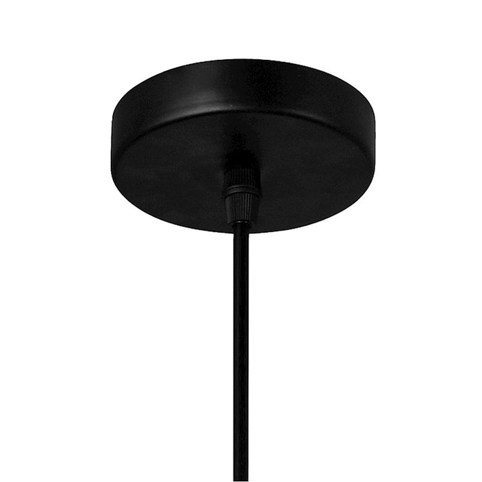 CWI Lighting Bagheera 20" 1 Light Down Pendant, Black