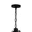 CWI Lighting Ganges 8 Light 32" Up Chandelier, Black