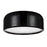 CWI Lighting Campton 2 Light Drum Shade Flush Mount, Black