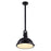 CWI Lighting Strum 1 Light Down Pendant, Black/Frosted - 9760P12-1-101