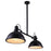 CWI Lighting Strum 2 Light Chandelier, Black/Frosted