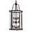 CWI Desire 12 Light Drum Chandelier, Oil Rubbed Bronze/Clear