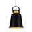 CWI Lighting Elisa 1 Light 10" Down Pendant, Black