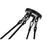 CWI Lighting Arkansas 4 Light Chandelier, Black