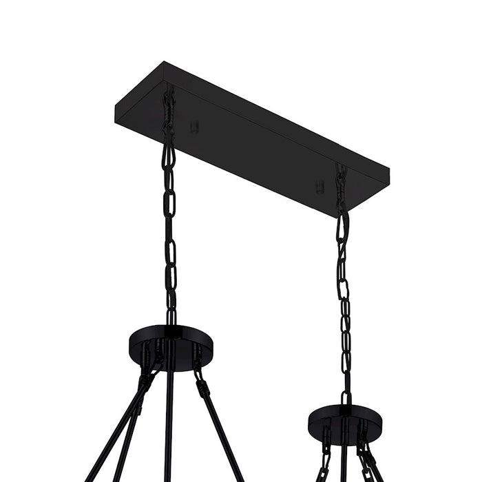 CWI Lighting Shalia 16 Light Chandelier, Black