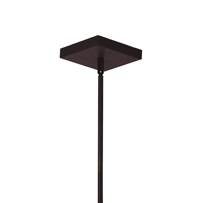 CWI Assunta 10 Light Drum Shade Chandelier, Black/Frosted