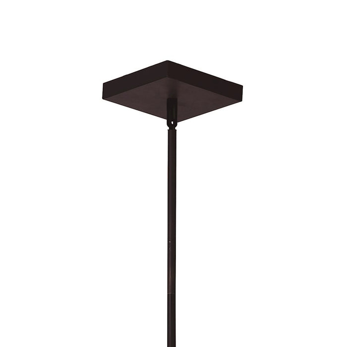 CWI Assunta 10 Light Drum Shade Chandelier, Black/Frosted