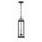 Crystorama Aspen 4 Light Outdoor Pendant, Matte Black