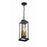 Crystorama Aspen 4 Light Outdoor Pendant, Matte Black