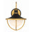 Crystorama Atlas 1 Light Outdoor Sconce, Black/Gold/White