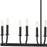 Crystorama Bailey 12 Light Chandelier