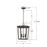 Crystorama Belmont 3 Light 12" Outdoor Pendant, Twilight Bronze