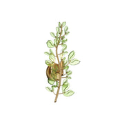 Crystorama Bridget 8.5in 2-Light Wall Sconce | Coastal Soft Gold Steel and Green Glass | Bathroom & Bedroom Accent | 8.5 x 5 x 19 in | Model BGT-331-SG-GR