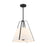 Crystorama Everly 4 Light 20" Pendant, Black/White - ED0241104BK