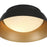 Crystorama Donoven 2 Light Flush/Semi Flush, Black/Gold
