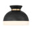Crystorama Gidget 1 Light Flush Mount, Black/Gold/Etched Opal