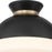 Crystorama Gidget 1 Light Flush Mount, Black/Gold/Etched Opal