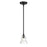 Crystorama Gregory 1 Light Mini Pendant, Matte Black/Clear