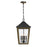 Crystorama Hawkins 4 Light Outdoor Pendant, Black/Textured Gold