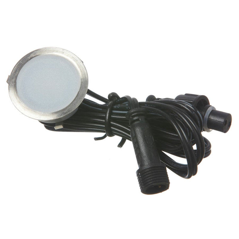 Dainolite DLEDW-003 1-Light Step Light | Stainless Steel 304 Finish | Deck & Floor Accent | 24 Lumens 2700K Dimmable | Model DLEDW-003