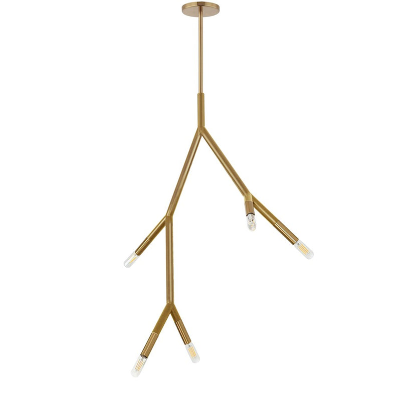 Dainolite Morgan 21in 5-Light Pendant | Transitional Aged Brass Metal | Kitchen Island & Dining Room | 21 x 7.75 x 29 in | Model MOR-125P-AGB