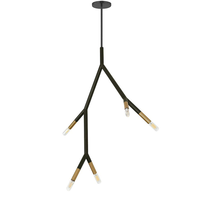 Dainolite Morgan 21in 5-Light Pendant | Transitional Matte Black and Aged Brass Metal | Kitchen Island & Dining Room | Model MOR-125P-MB-AGB