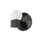 Dainolite Raleigh 1 Light Bath/Vanity, Matte Black/White