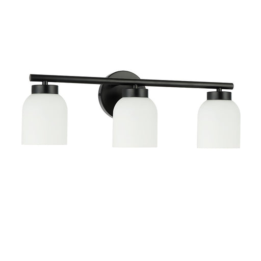 Dainolite Vonda 3 Light Bath/Vanity, Matte Black/White - VND-213W-MB