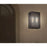Eurofase Retto 2-Light Outdoor Flushmount, Bronze/Clear