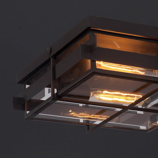 Eurofase Muller Outdoor Wall Sconce, Bronze/Clear