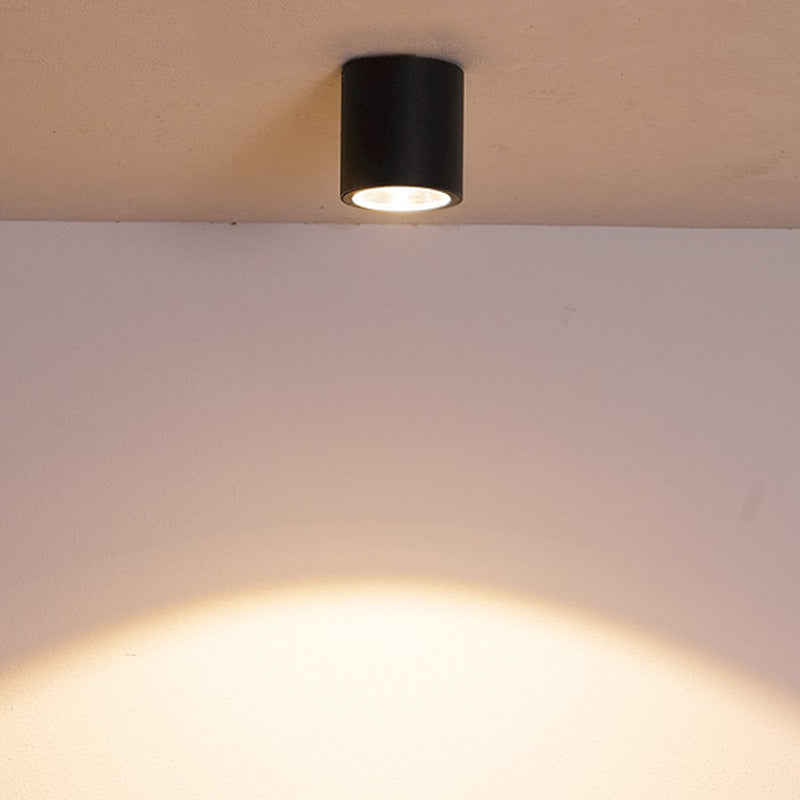 Eurofase Sky Outdoor LED Flushmount