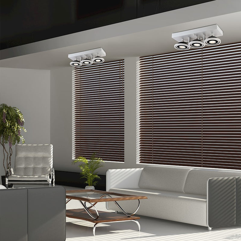Eurofase Vision Pendant, WhiteBlack