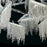 Eurofase Rossi 10-Light Linear LED Chandelier, Chrome/Clear