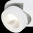 Eurofase Acura 2-Light Flushmount, White/White