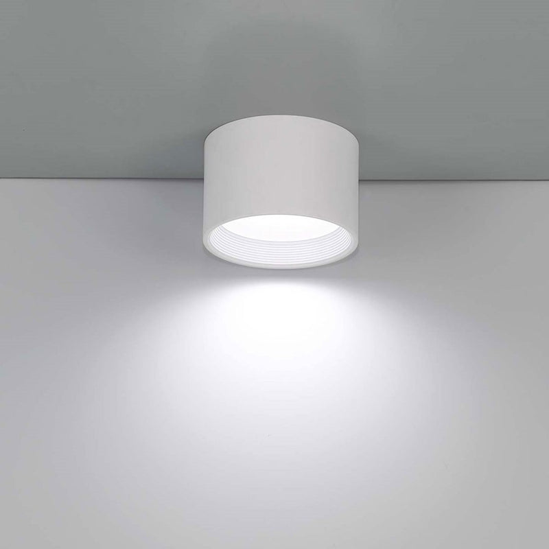 Eurofase Benton 1-Light LED Flushmount, White/Frosted