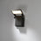 Eurofase Outdoor LED Surface Mount, Graphite Grey/Frosted