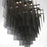 Eurofase Oval LED Chandelier, Black