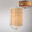 Eurofase 1 Light Pendant