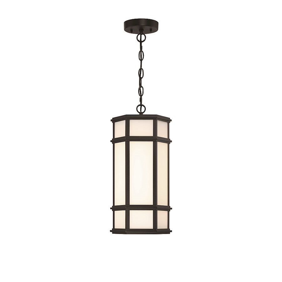 Eurofase Mont?1 Light 18" Outdoor LED Pendant, Satin Black